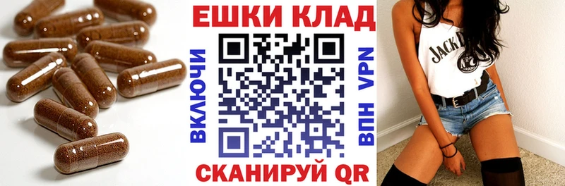Ecstasy диски  Купить где  Михайлов 