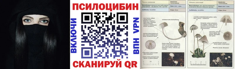 Купить где  Михайлов  Псилоцибиновые грибы Psilocybine cubensis 
